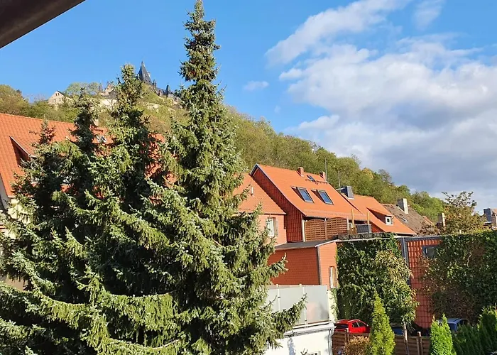 Zum Schluckspecht Apartment